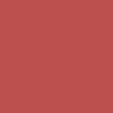 BRAYE Lipsleek 2.3g